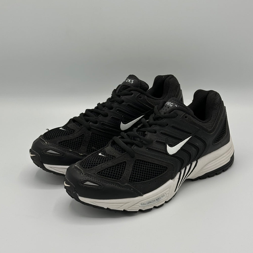 NIKE AIR PEGASUS 2005