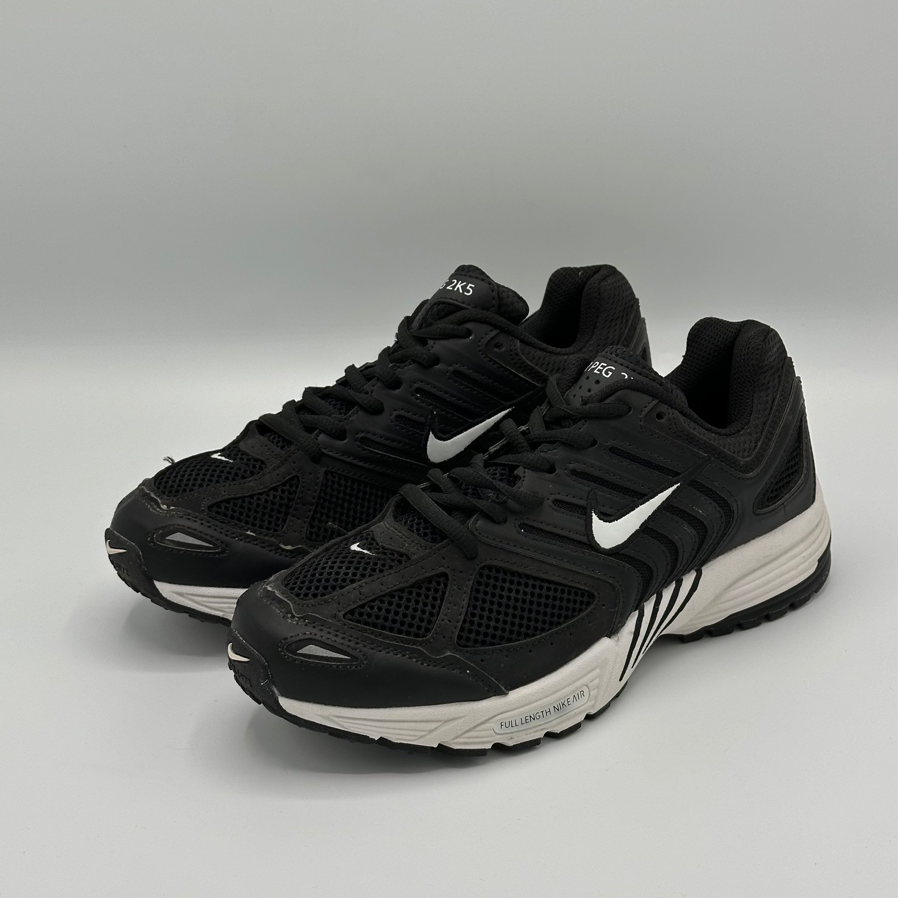 NIKE AIR PEGASUS 2005